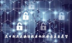 尼日利亚区块链技术的现状与未来展望
